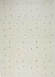 3 Sprouts - EVA Foam Mat