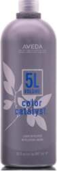 Aveda Color Catalyst Liquid Developer conditioner