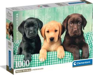 Clementoni Puzzle Compact Three Labs 1000