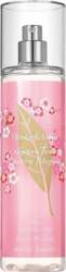 Green Tea Cherry Blossom (SdC W