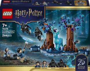LEGO Harry Potter 76475 -  Kielletty
