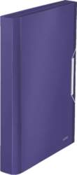 Leitz 39570069 box file 250 sheets