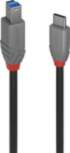 Lindy Anthra Line - USB-C cable