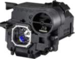 MicroLamp Projector lamp for NEC 5000