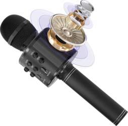 Microphone Maxy Karaoke microphone with speaker