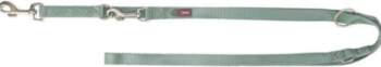 Premium  adjustable leash  dog  tape  sage
