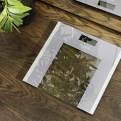 Svarstyklės Cecotec Bathroom Scales Surface Precision