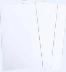 Vector A4 white folder with elastic