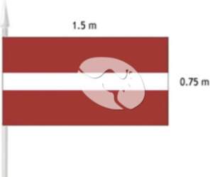 Latvijas valsts karogs (fasādei)