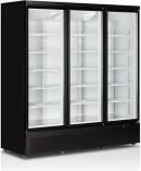 TEFCOLD Ledusskapis C3DB