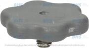 LF RINSE ARM ASSEMBLY LOCKING BOLT