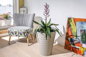 FLOWER POT DIAMOND 2900 D30 014