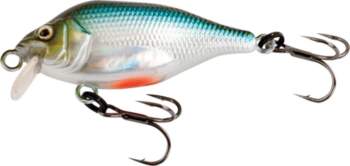 Fox Rage Funk Bug 50mm DR