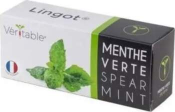 Veritable Véritable Lingot Piparmētra Klasztorna