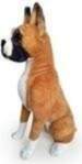 Dubi Suns Bokser 65cm