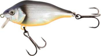 Fox Rage Funk Bug 50mm DR