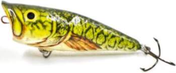 Lure Pop 6F 6cm/7g FBB