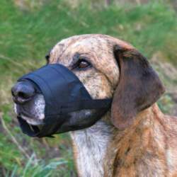 Muzzle with net insert, polyester, S