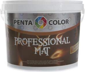 DISPERSION PAINT PROFESSIONAL MAT