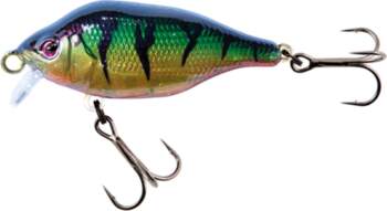 Fox Rage Funk Bug 50mm DR
