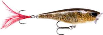 Lure Skitter Pop 7cm/7g FML