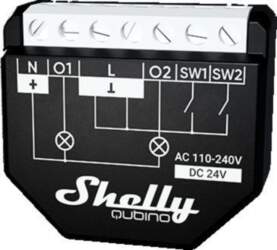 Shelly  Wave 2PM