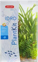 Zolux Plantkit Idro N°4