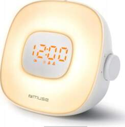 Muse | ML-198CR | Alarm function
