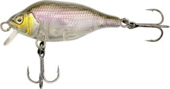 Fox Rage Funk Bug 50mm DR