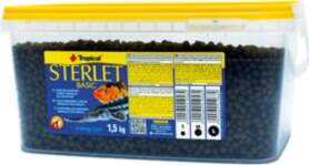 Tropical Sterlet Basic "m" Spainis