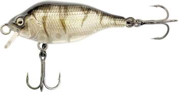 Fox Rage Funk Bug 50mm DR