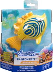 Rainbow Reef Fish - Zebra Fish