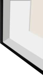 Rāmis Focus Focus Aster Box Frame