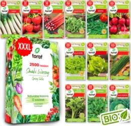 TORAF Spring Flavors Seed Set -