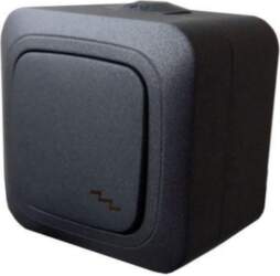 TWO WAY SWITCH  PP6 10-008 BL