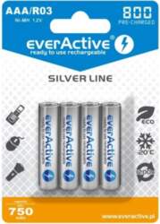 Everactive Akumulators Silver Line Aaa /