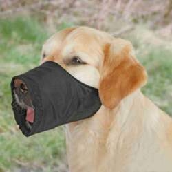 Muzzle, polyester, M, black