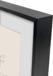 Rāmis Focus Focus Aster Box Frame