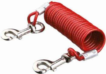 Tie out cable with coiled cable