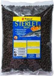 Tropical Sterlet Basic "s" Maiss