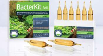 Prodibio BacterKit Soil 6 amp.