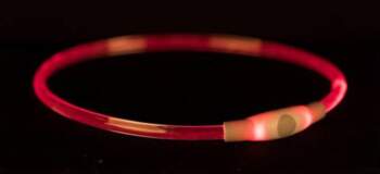 Safety collar Flash Light ring USB