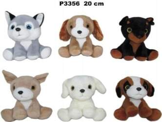 Suns 20cm