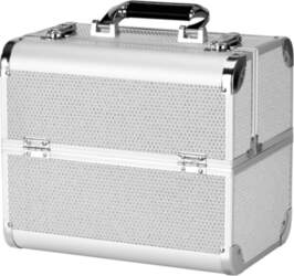 Cosmetic case 44 silver