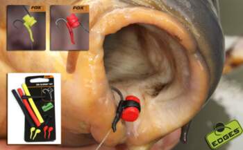 Fox Zig Aligna Putas (3 gab