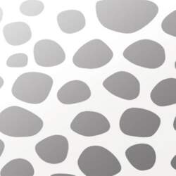Polygloss plātne Polygloss Stone 1 Chrom