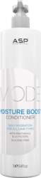 ASP Mode Care Moisture Boost Conditioner