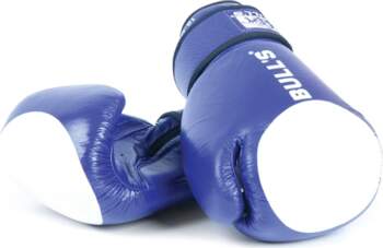 BULLS TT-2002