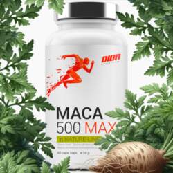 DION MACA 500 60 tabletes