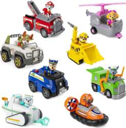 PAW PATROL transportlīdzeklis  Basic vehicles, sortiments